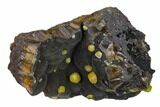 Vanadinite Crystals on Botryoidal Goethite - Mibladen, Morocco #133878-1